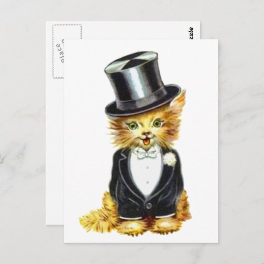 Carte Postale Salle de chat (Devant / Derrière)