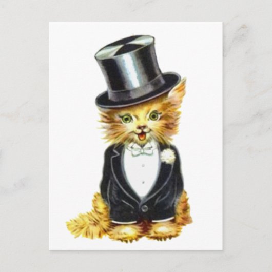 Carte Postale Salle de chat (Devant)