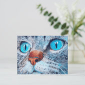 Carte Postale Sally le chat à l'oeil bleu (Debout devant)