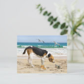 Carte postale "Sally & The Crab" (Debout devant)