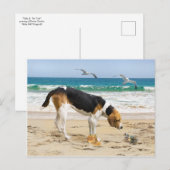 Carte postale "Sally & The Crab" (Devant / Derrière)