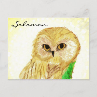 Carte Postale Salomon le Sage Hibou des Livres Sara