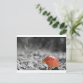 Carte Postale Salon de beauté (Debout devant)