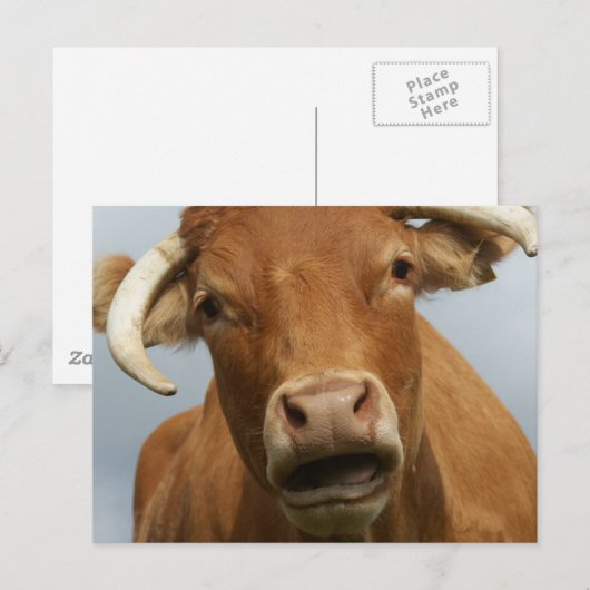 Carte Postale Salope (Devant / Derrière)