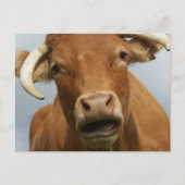 Carte Postale Salope (Devant)