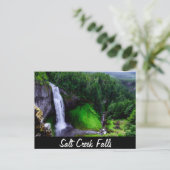Carte Postale Salt Creek Falls, Oregon (Debout devant)