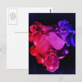 Carte Postale Saluez le rouge, le blanc et le bleu (Devant / Derrière)