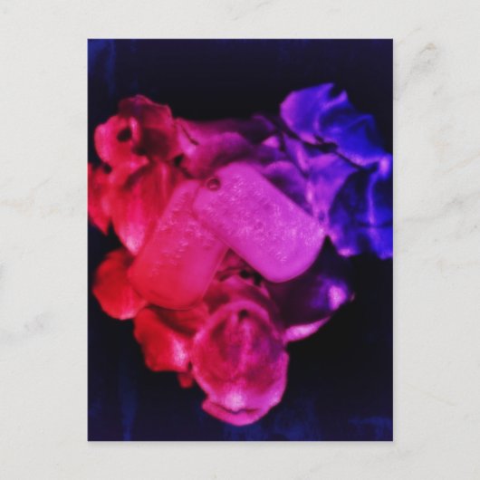 Carte Postale Saluez le rouge, le blanc et le bleu (Devant)