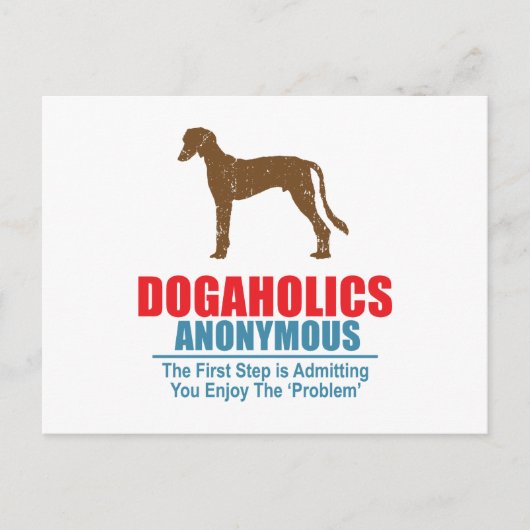 Carte Postale Saluki (Devant)