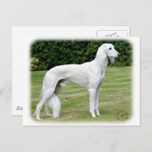 Carte Postale Saluki (Devant / Derrière)