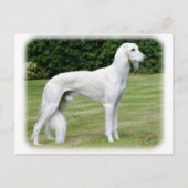 Carte Postale Saluki (Devant)