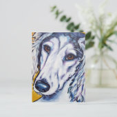 Carte Postale Saluki (Debout devant)
