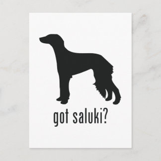 Carte Postale Saluki