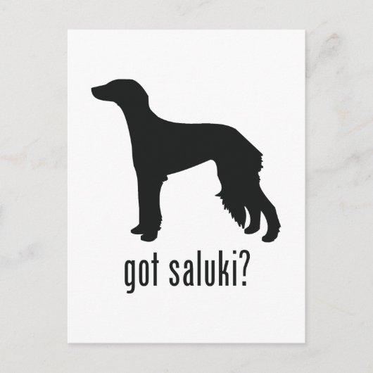 Carte Postale Saluki (Devant)