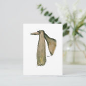 Carte Postale saluki dog, tony fernandes (Debout devant)