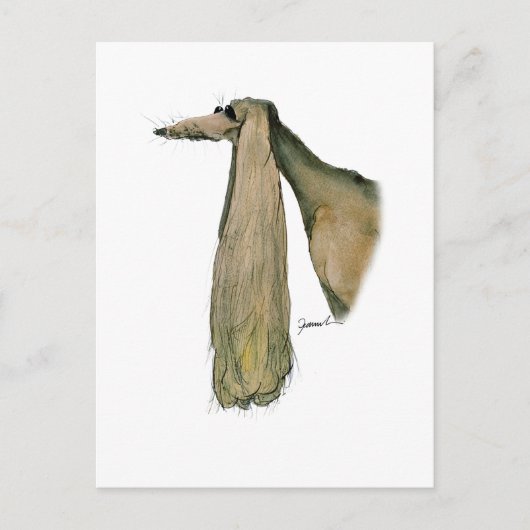 Carte Postale saluki dog, tony fernandes (Devant)