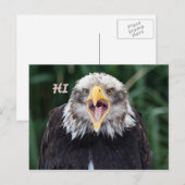 Carte Postale salut (Devant / Derrière)