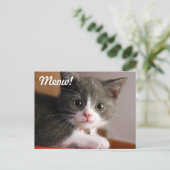 Carte Postale Salut ! (Debout devant)