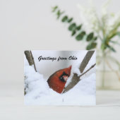 Carte Postale Salut de l'Ohio (Debout devant)