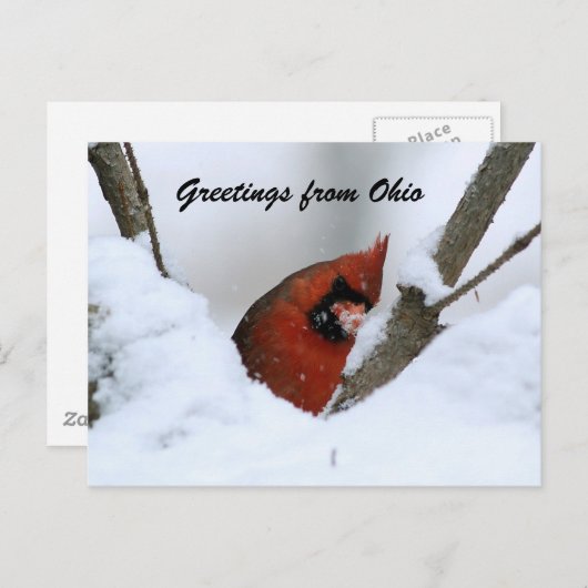 Carte Postale Salut de l'Ohio (Devant / Derrière)