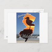 Carte Postale Salut de Wildwood (Devant / Derrière)