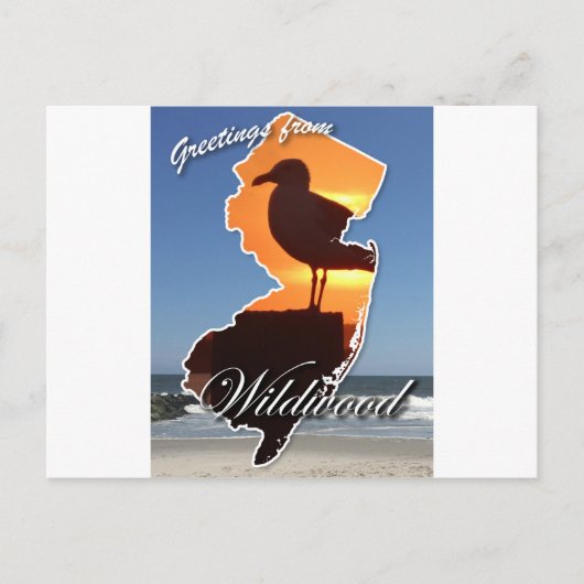 Carte Postale Salut de Wildwood (Devant)