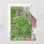 Carte Postale Salut du Wisconsin (Devant / Derrière)