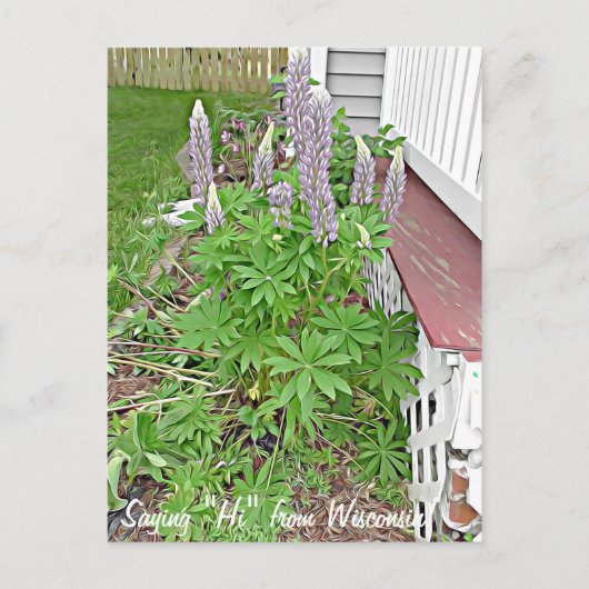 Carte Postale Salut du Wisconsin (Devant)