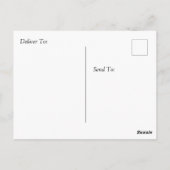 Carte Postale Salut, les mignonnes tortues bronzent sur le rond (Dos)