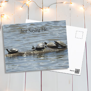 Carte Postale Salut, les mignonnes tortues bronzent sur le rond