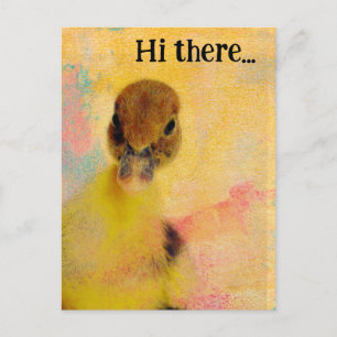 Carte Postale Salut, Muscovy Duckling