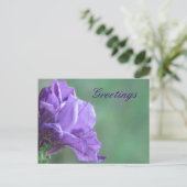 Carte Postale Salutation (Debout devant)