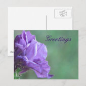 Carte Postale Salutation (Devant / Derrière)