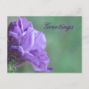 Carte Postale Salutation