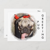 Carte Postale Salutation carlin (Devant / Derrière)