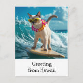 Carte Postale Salutation de chats d'Hawaii surf sur la planche d (Devant)