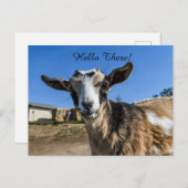 Carte Postale Salutation de chèvre (Devant / Derrière)