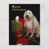 Carte postale - salutation de Noël - chienchien (Devant)