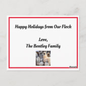 Carte Postale Salutation de vacances de poulet (Dos)