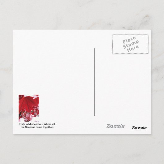 Carte Postale Salutation du Minnesota (Dos)