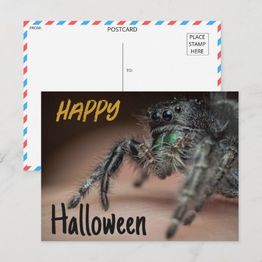 Carte Postale Salutation éffrayant Spider Halloween (Devant / Derrière)