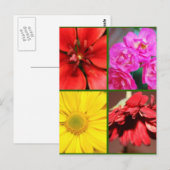 Carte Postale Salutation florale (Devant / Derrière)