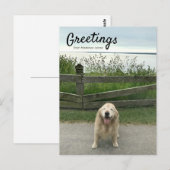 Carte Postale Salutation Golden Retriever de Mackinac Island (Devant / Derrière)
