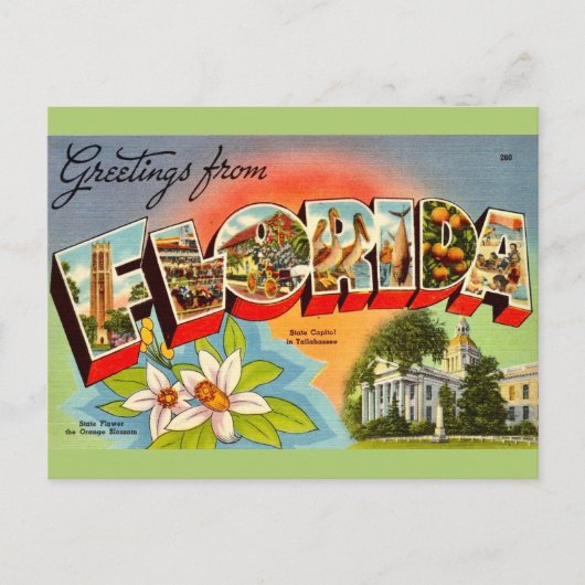 Carte Postale Salutation Vintage Floride (Devant)