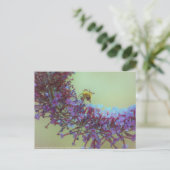 Carte Postale Salutations (Debout devant)