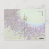 Carte Postale Salutations (Dos)