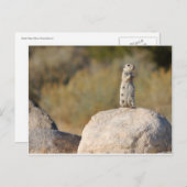 Carte Postale Salutations amicales (Devant / Derrière)