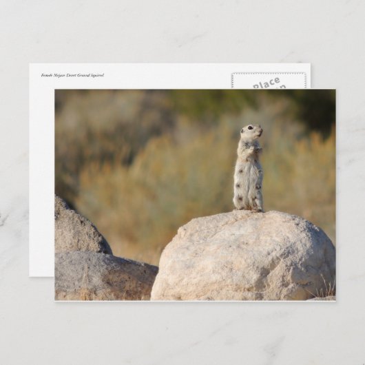 Carte Postale Salutations amicales (Devant / Derrière)