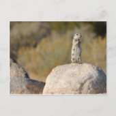 Carte Postale Salutations amicales (Devant)