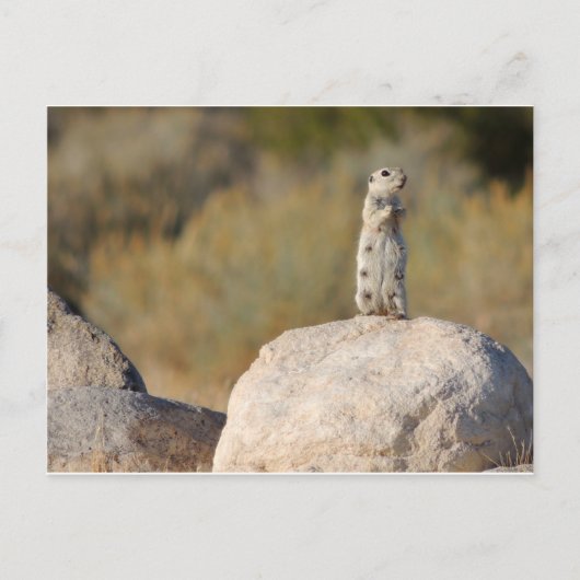 Carte Postale Salutations amicales (Devant)